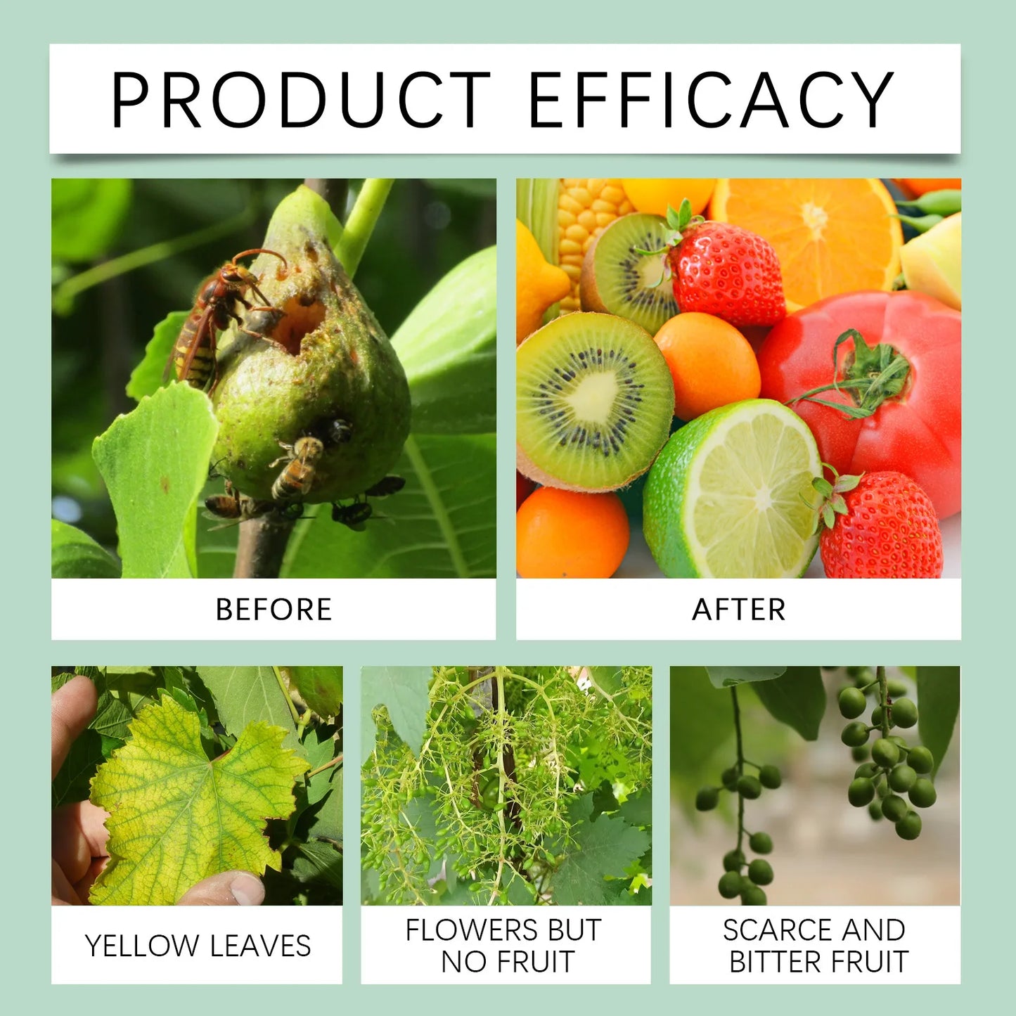 MoonSpry Organic Vegetable Fruit Fertilizer Green Plant Nutrient Enhancer for Rooting Flowering Fruit Expansion Rooting Powder