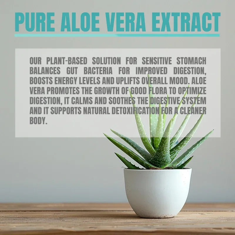 Aloe Vera Capsules - Natural Aloe Vera Supports Gut, Digestive & Immune Health, Balances Stomach Acid and Improves Energy Levels