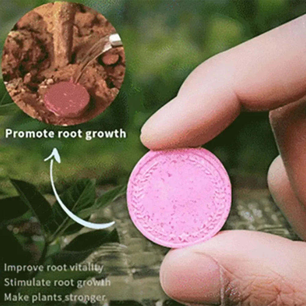 Gardening Organic Fertilizer Potted Succulent Organic Fertilizer Nutrient Slow Release for Foliage Plants Fruit Grow