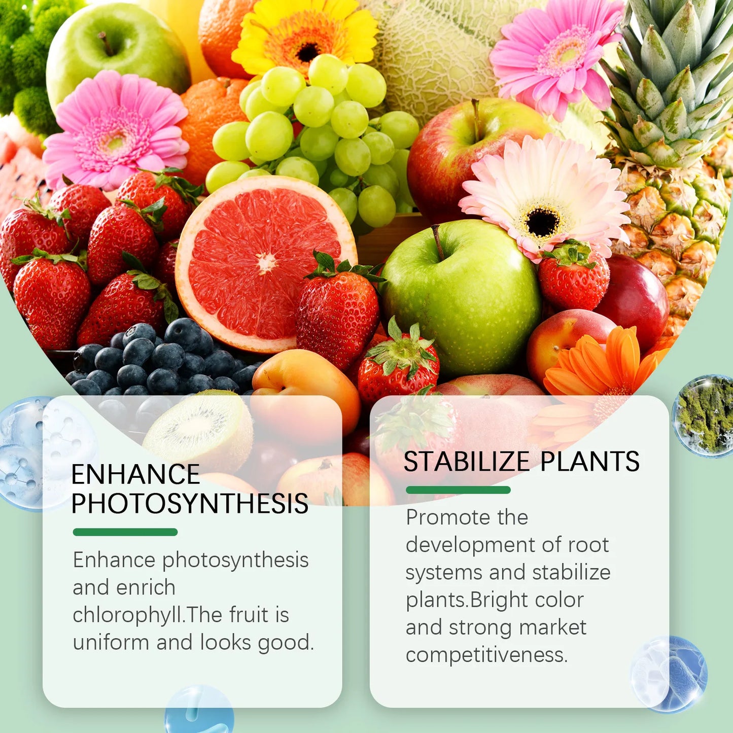 MoonSpry Organic Vegetable Fruit Fertilizer Green Plant Nutrient Enhancer for Rooting Flowering Fruit Expansion Rooting Powder