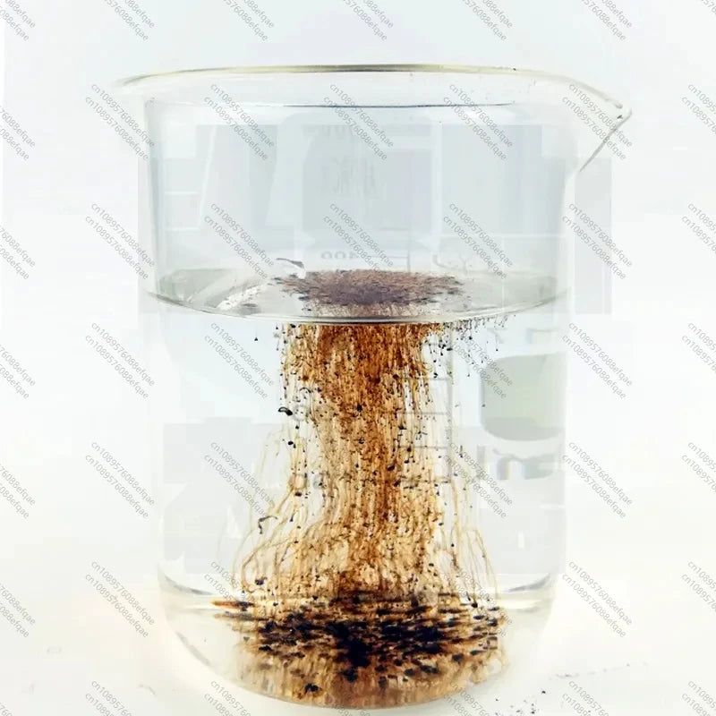 50Gram-1KG Agriculture Fertilizer Seaweed Extract 100% Water Soluble Agro Fertilizer in Powder China Organic Fertilizer